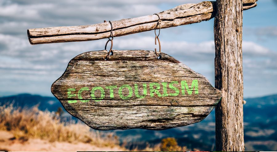 Descubre las Mejores Actividades de Ecoturismo en Bogotá y sus Alrededores