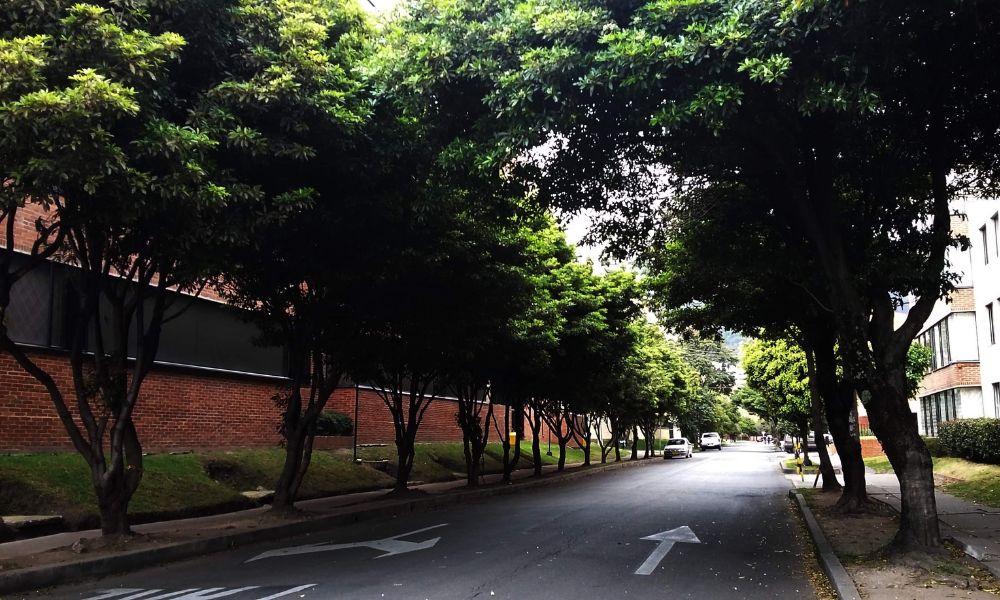 Cómo Disfrutar un Fin de Semana Familiar en Parques de Bogotá