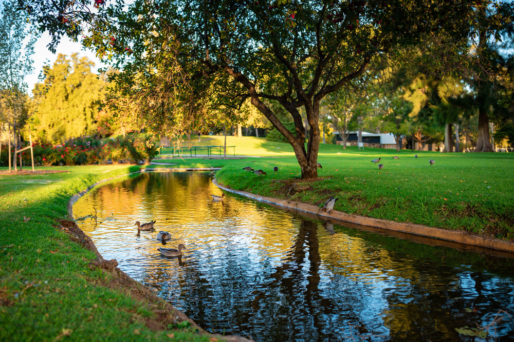 Guía de Parques para Disfrutar en Bogotá con Amigos