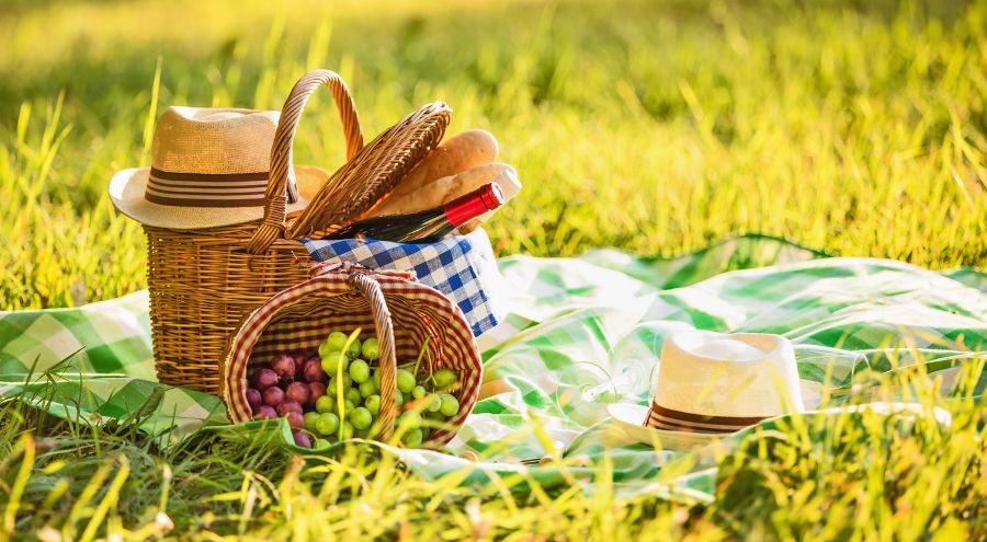 Guía para un Picnic de Ensueño en los Parques del Norte de Bogotá