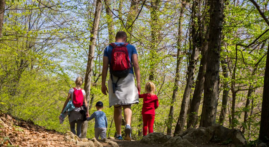 Rutas de Caminata Ecológica cerca de Bogotá para Principiantes