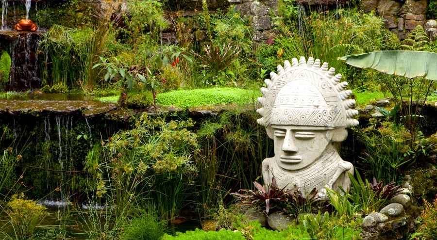 Explora los Jardines Más Hermosos del Norte de Bogotá